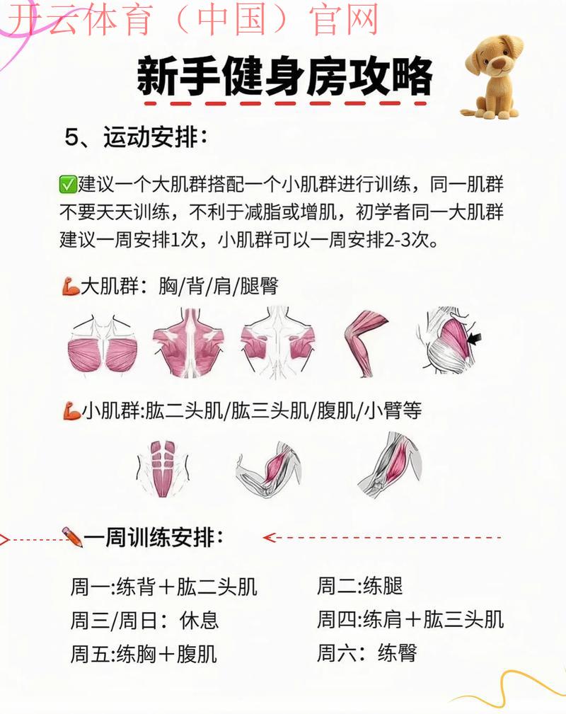 开运体育，运势提升的健身房秘诀