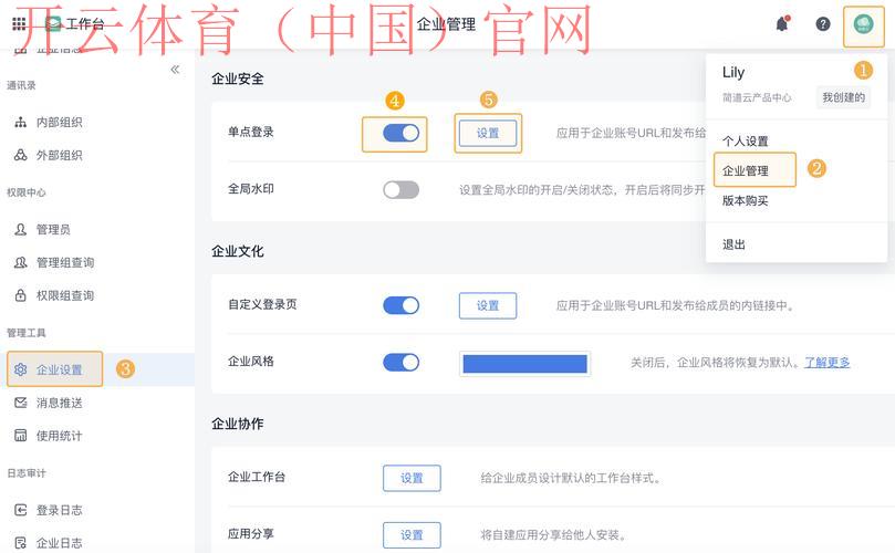 开云体育登录界面,单点登录支持及设置方法 开云体育登录界面,单点登录支持及设置方法